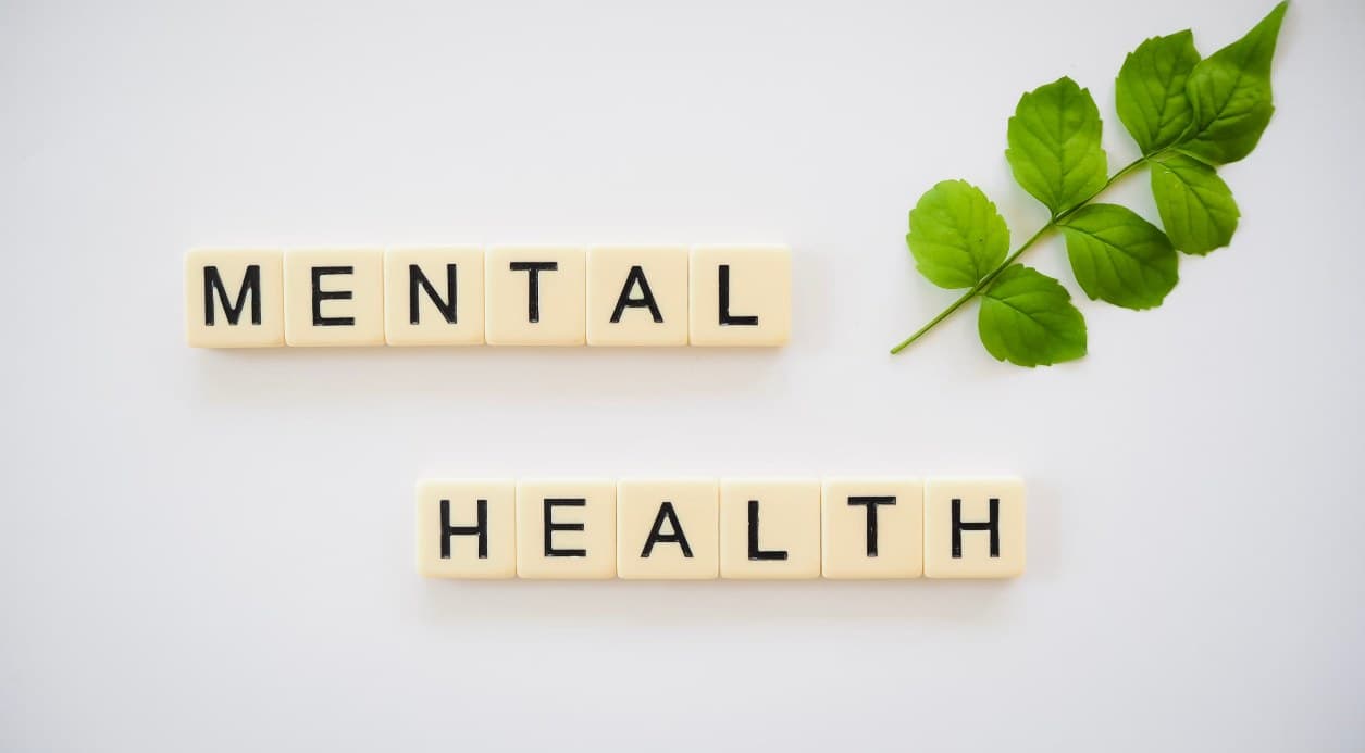 Letter tiles spelling “Mental Health” beside a green sprig